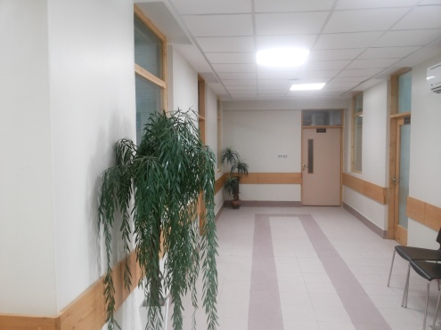 Inaugurcia novej Wahidovej kliniky