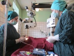 Doktorka Nazia na kábulskej klinike Svetlo